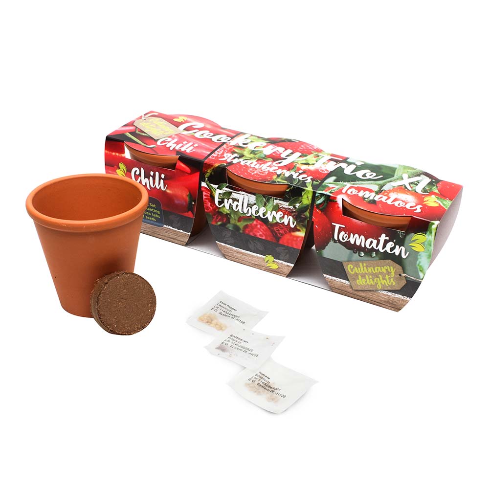 Kit de culture d’herbes aromatiques